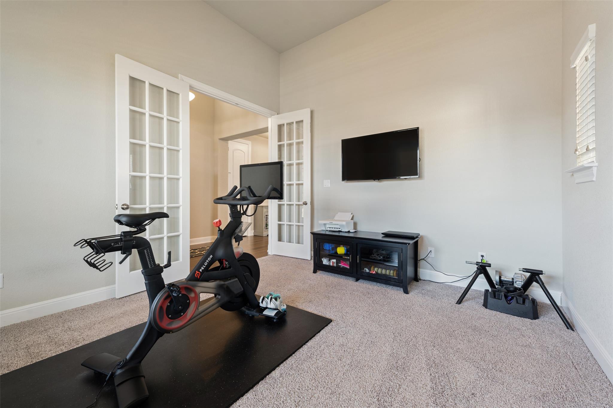 2913 Mossy Springs DR