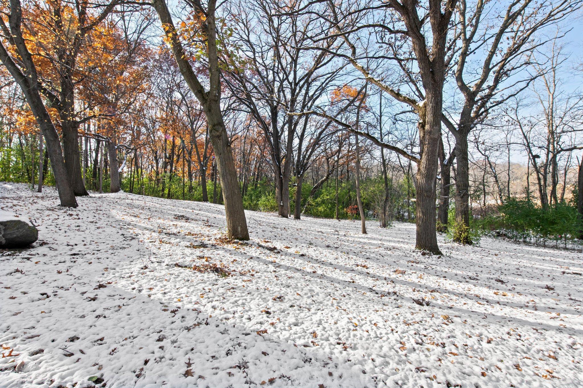 21145 Fondant Avenue N