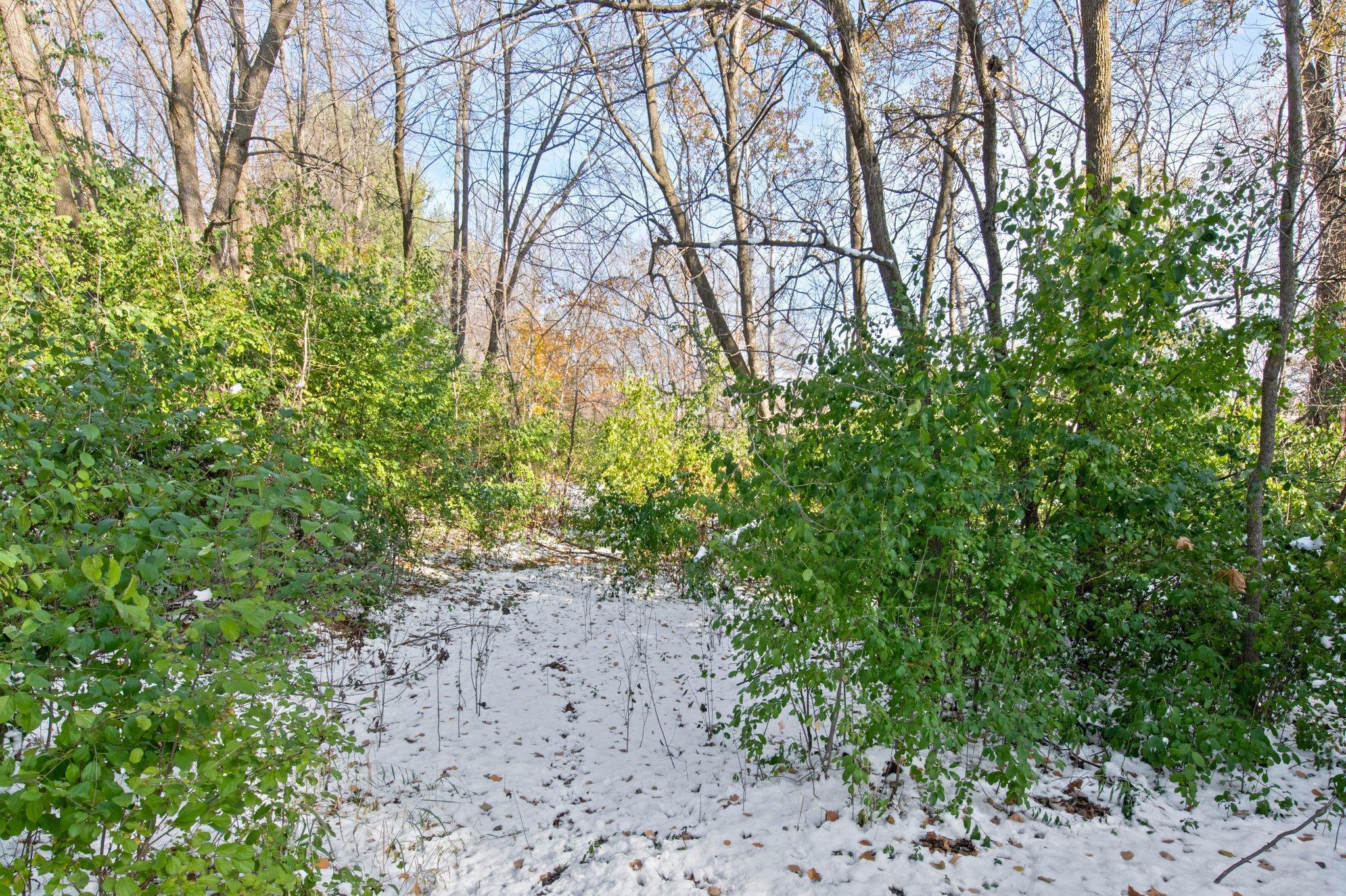 21145 Fondant Avenue N