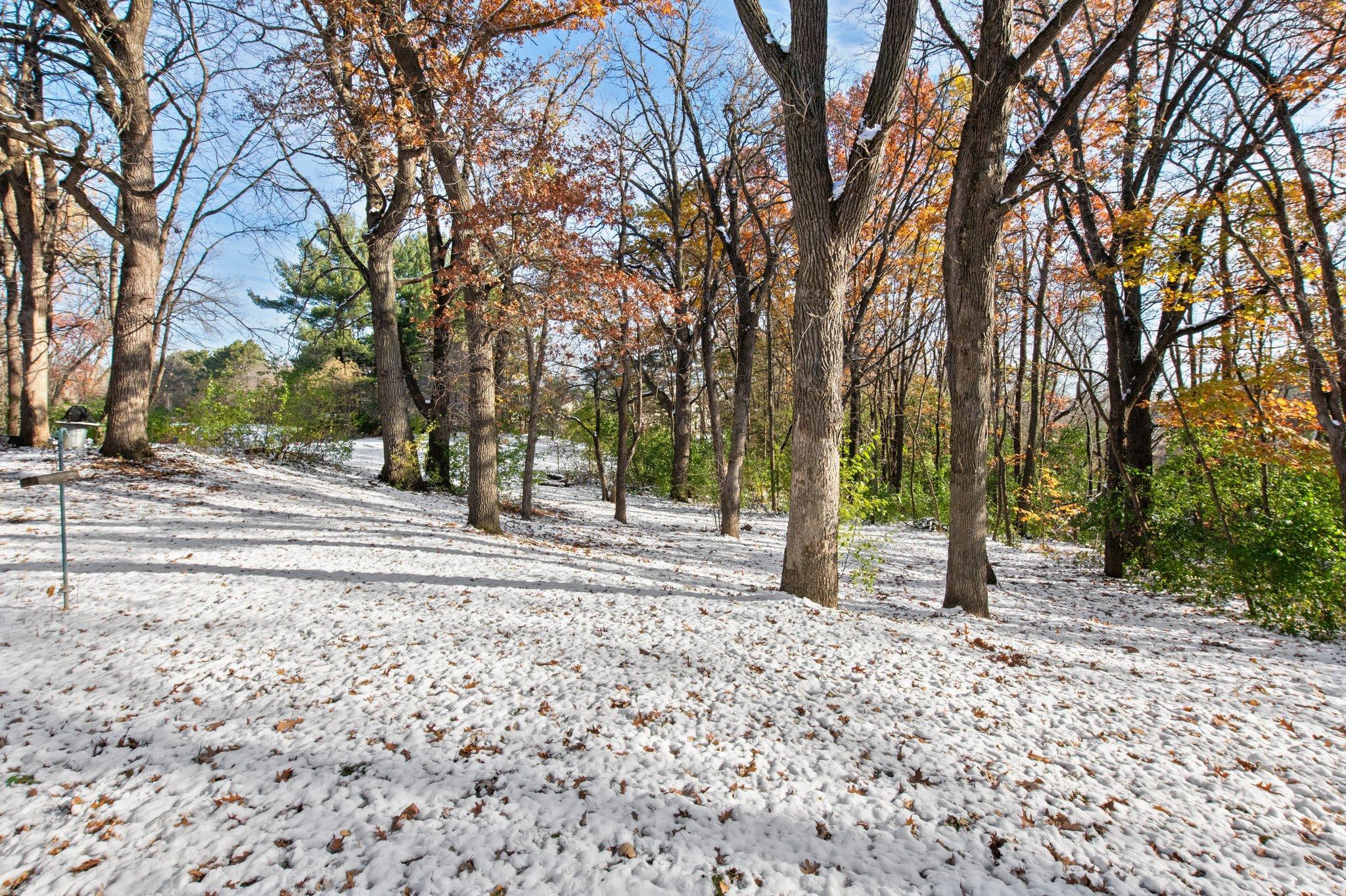 21145 Fondant Avenue N