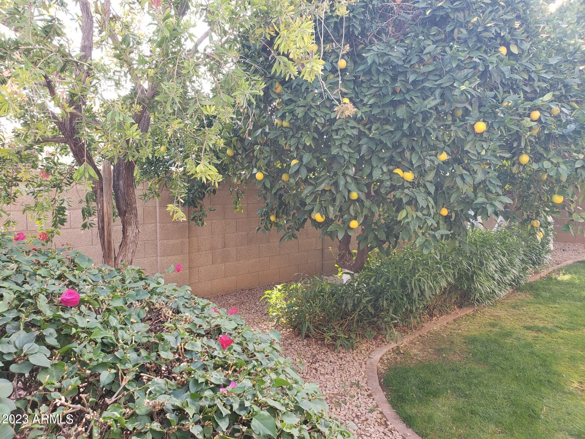 4301 E SIESTA Lane