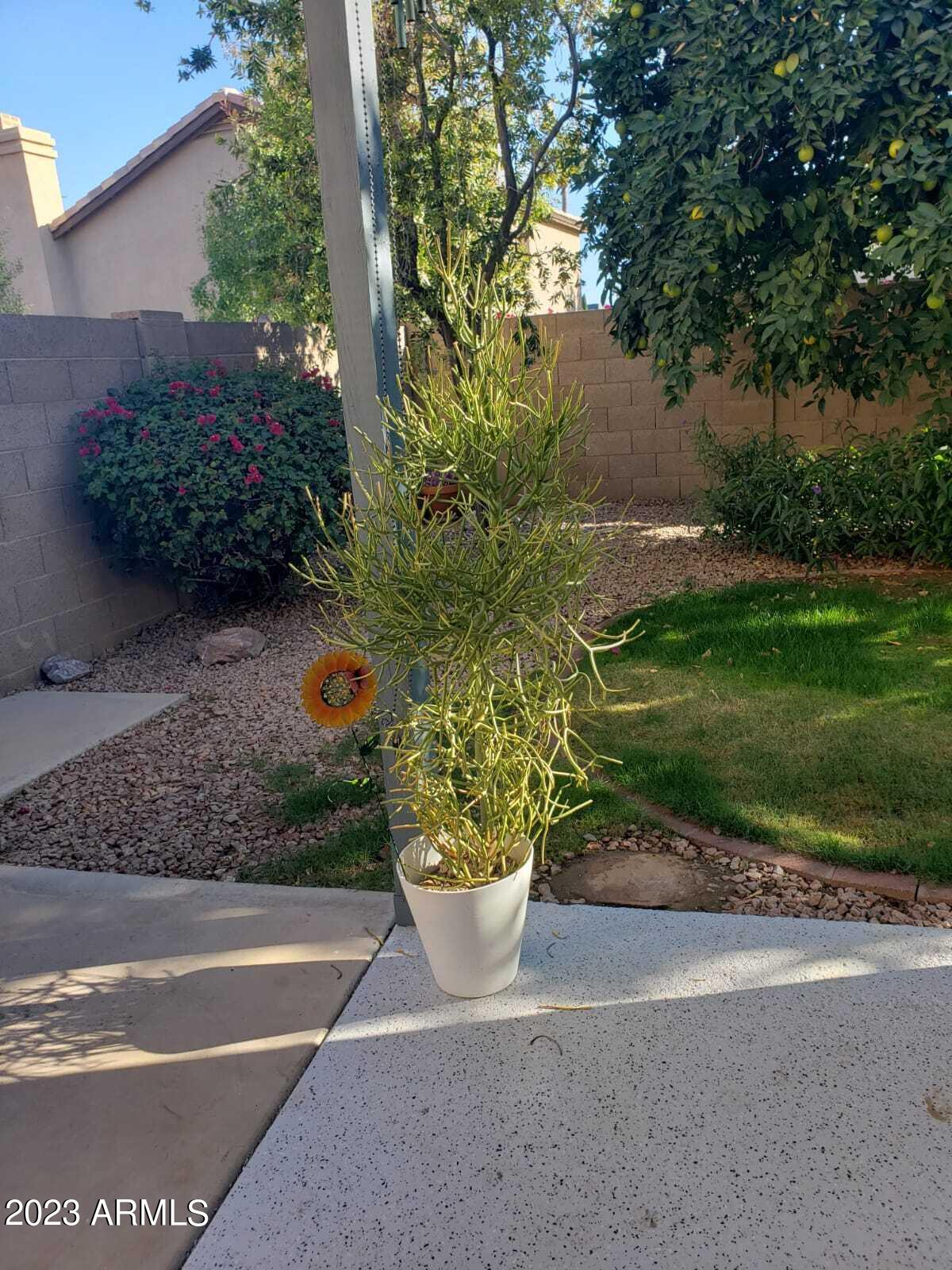 4301 E SIESTA Lane
