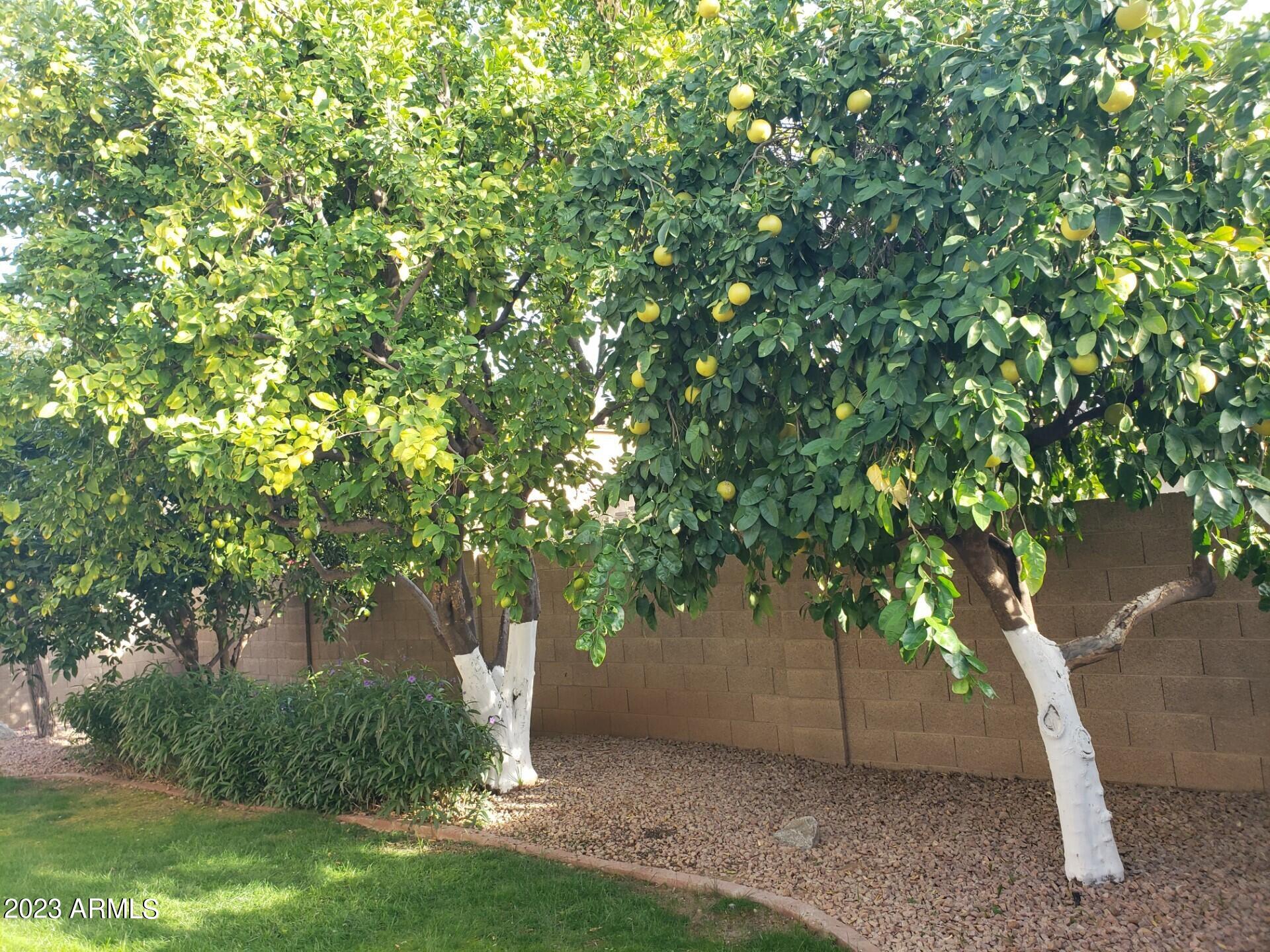 4301 E SIESTA Lane
