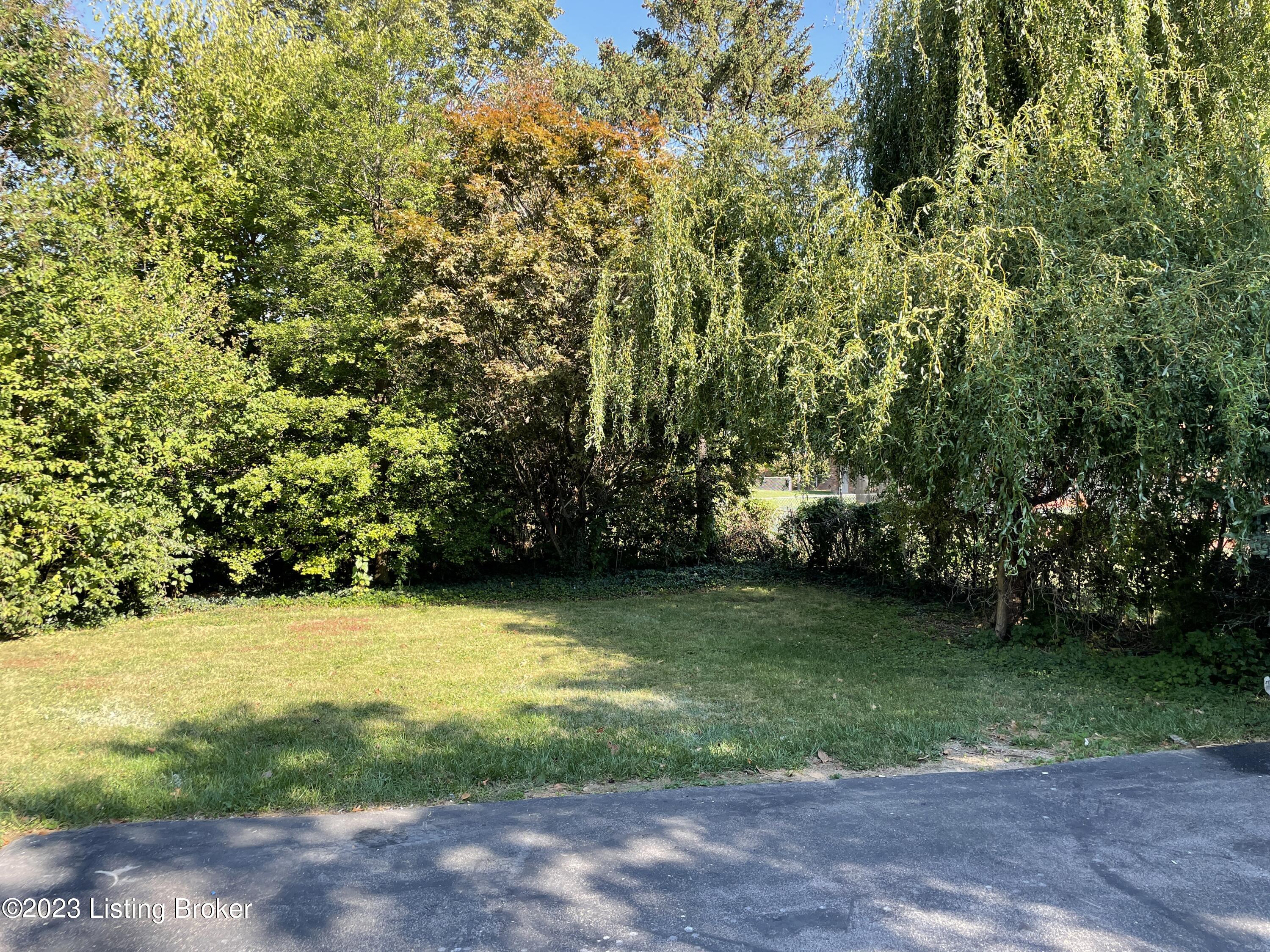 10105 Falling Tree Way