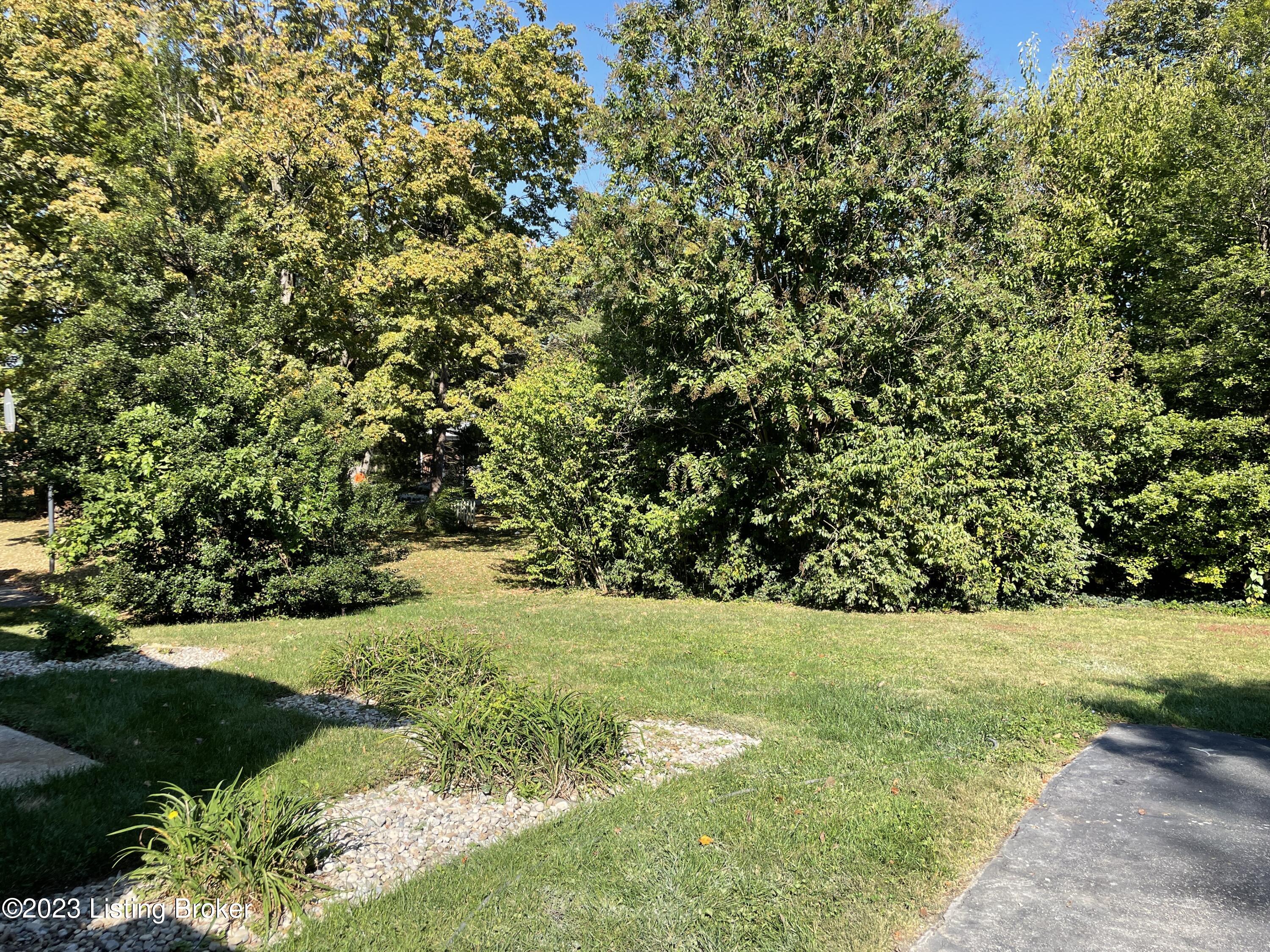 10105 Falling Tree Way