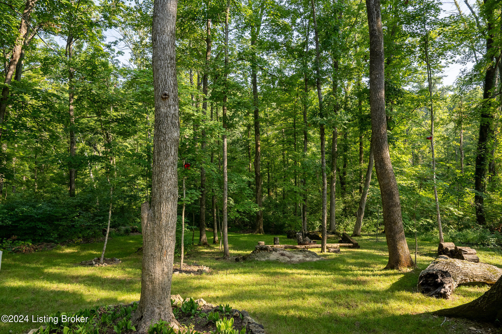 2923 Cliffwynde Trace