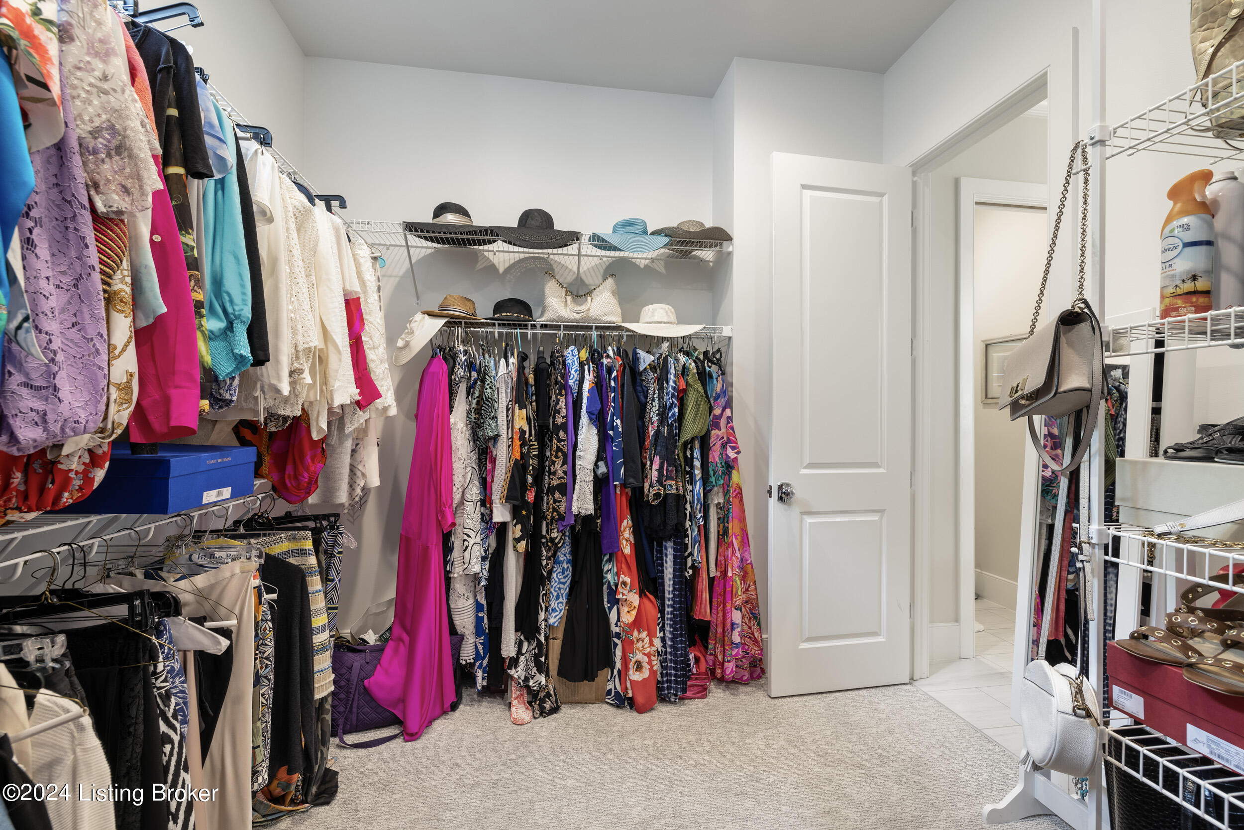 4107 Sanctuary Bluff Ln