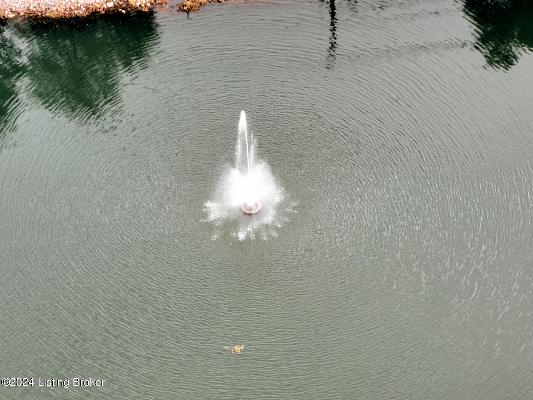 6314 St Bernadette Ave, 201