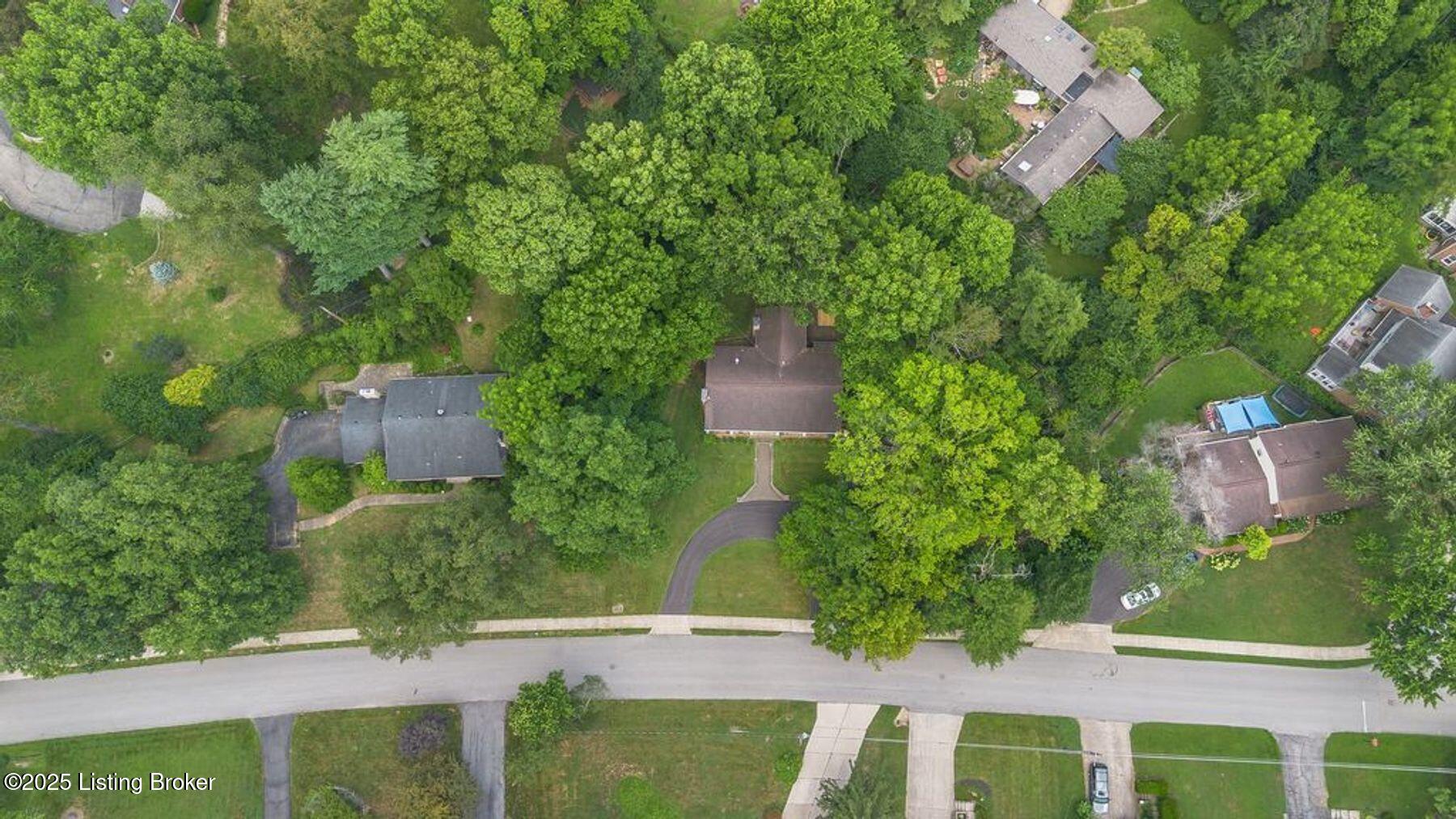 4100 Elmwood Ave