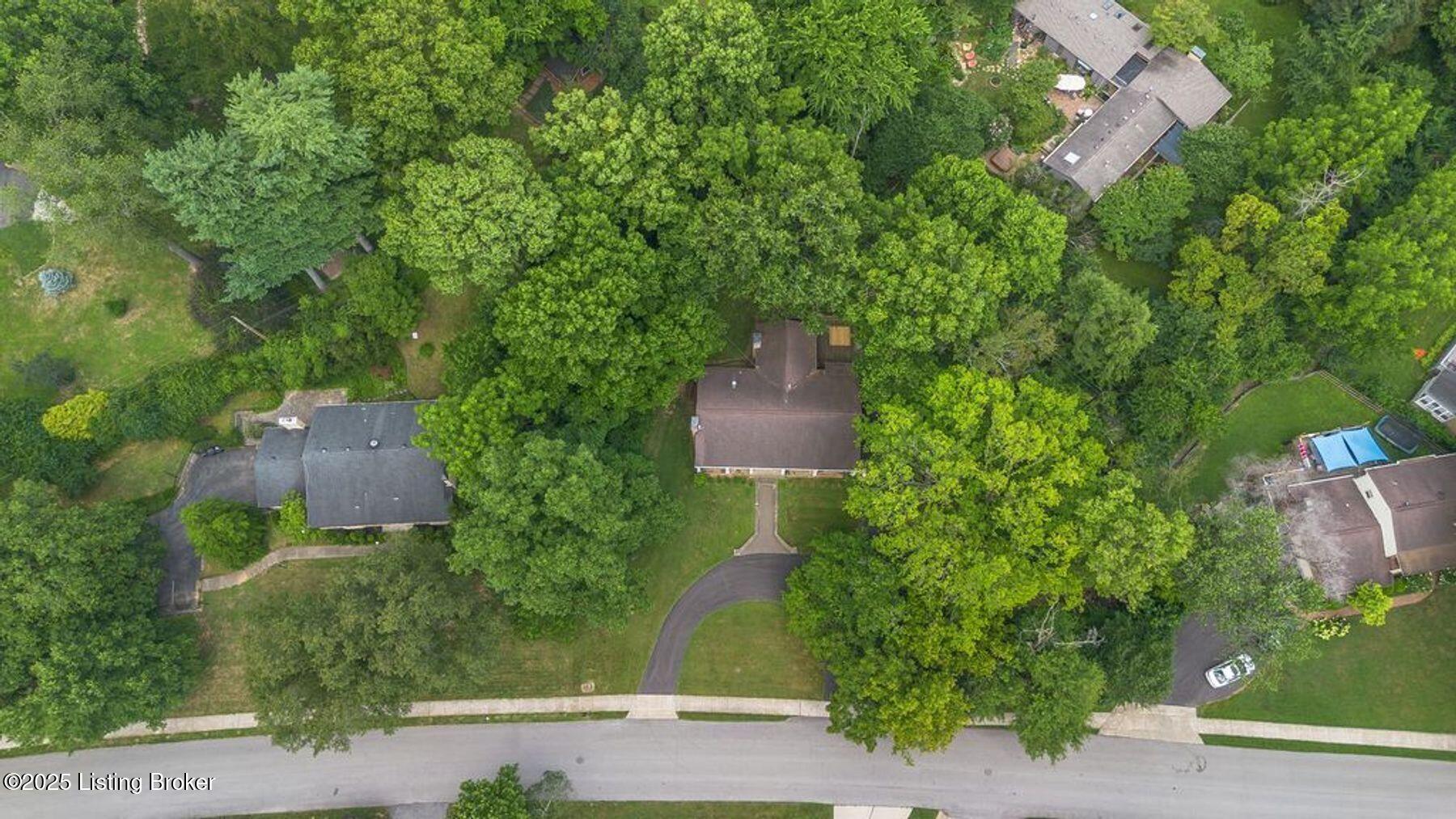 4100 Elmwood Ave