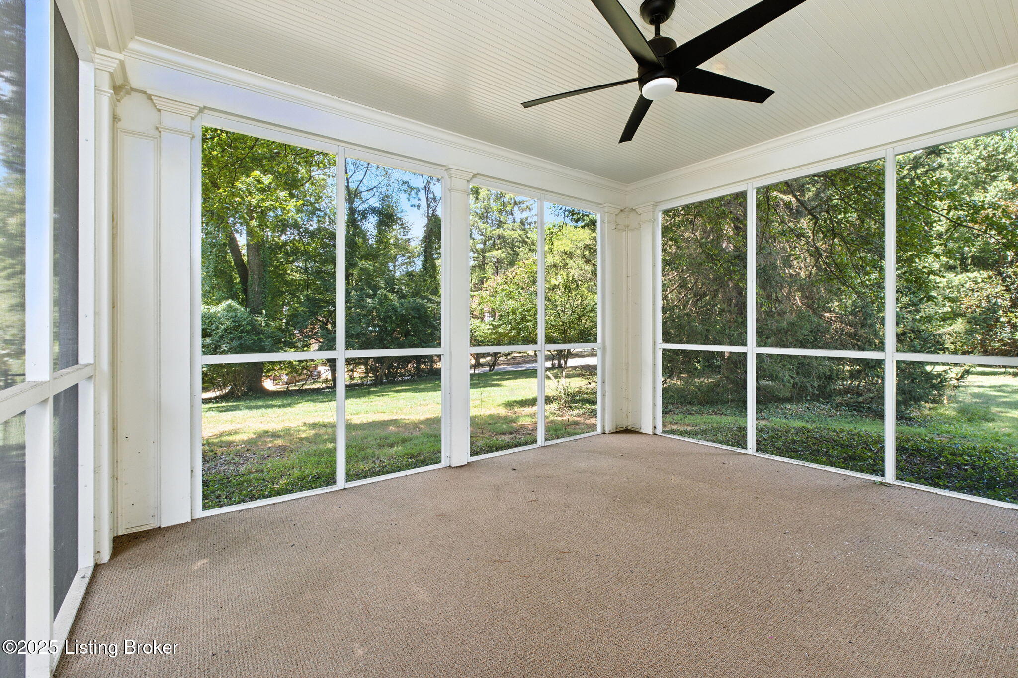 97 Warrior Rd