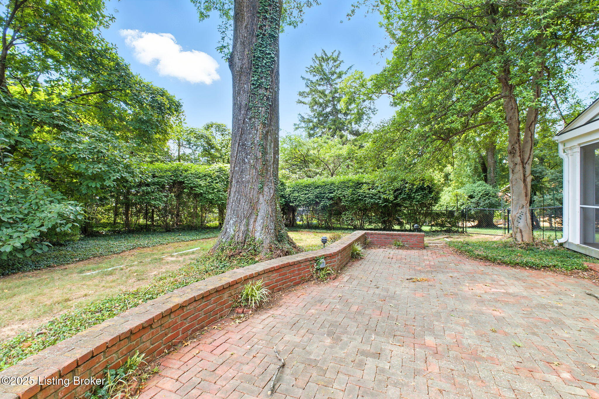 97 Warrior Rd