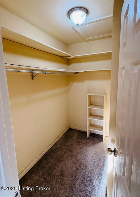 188 Saint Matthews Ave 3