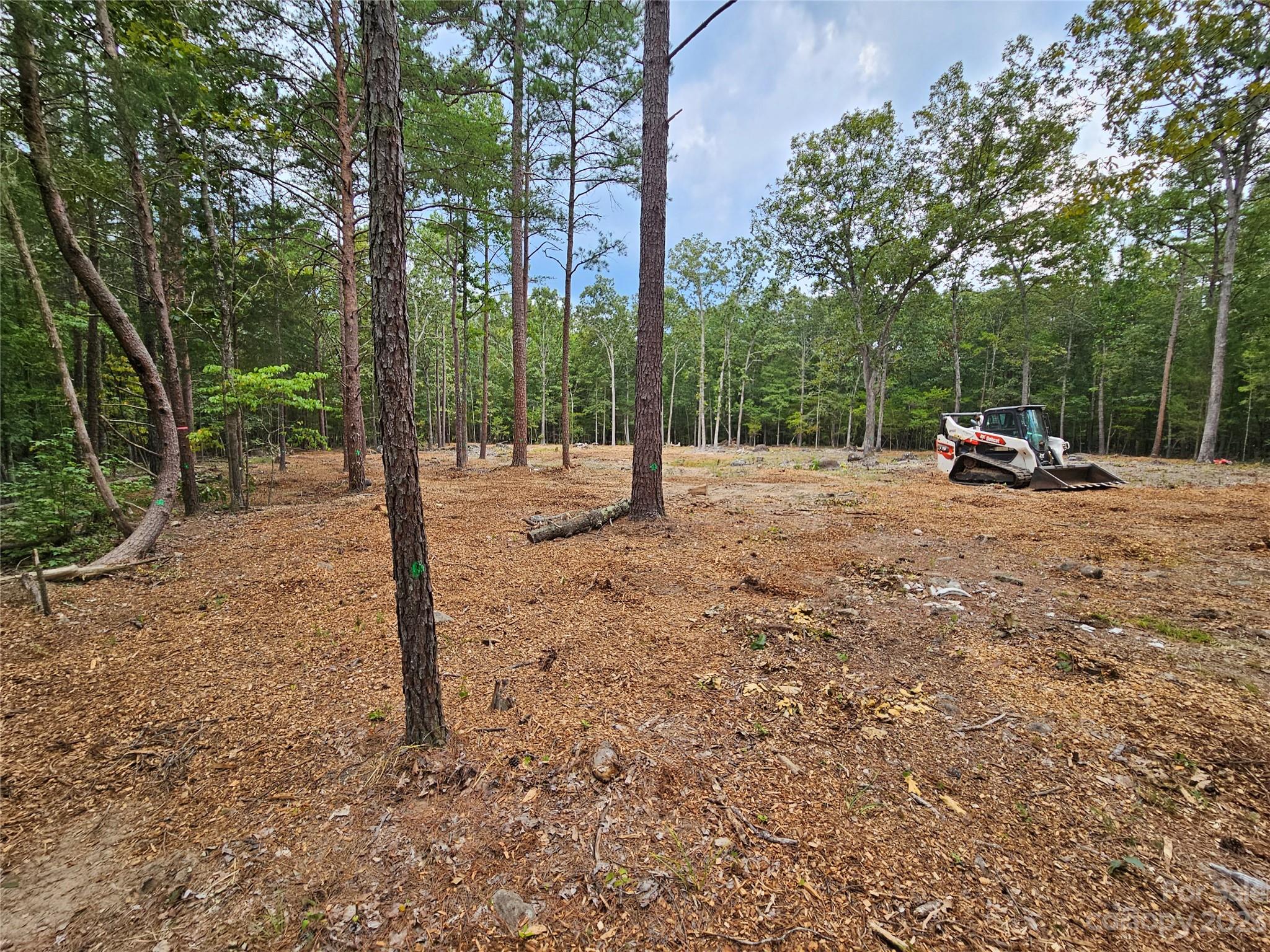 513 Castlewood Circle