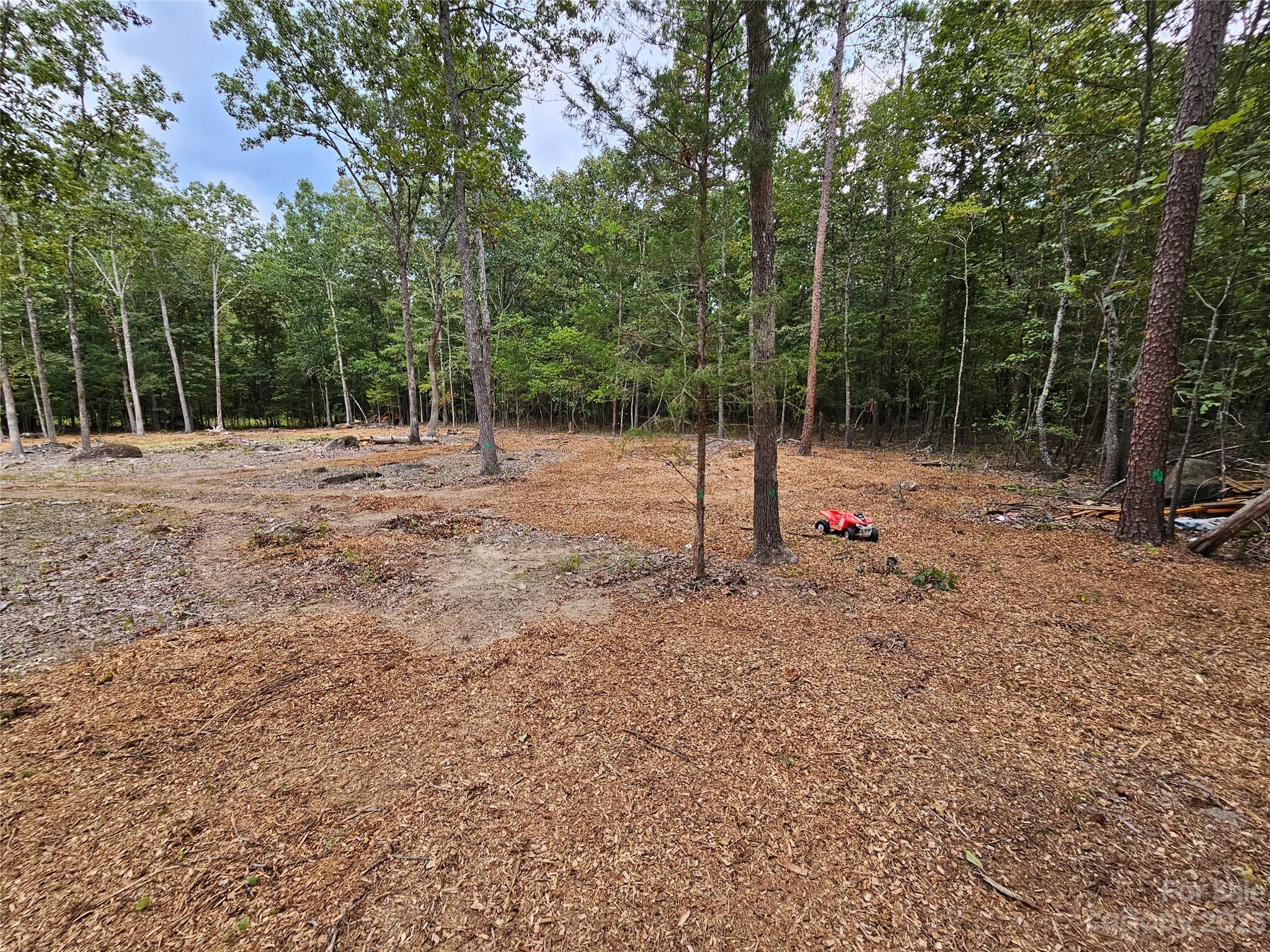 513 Castlewood Circle
