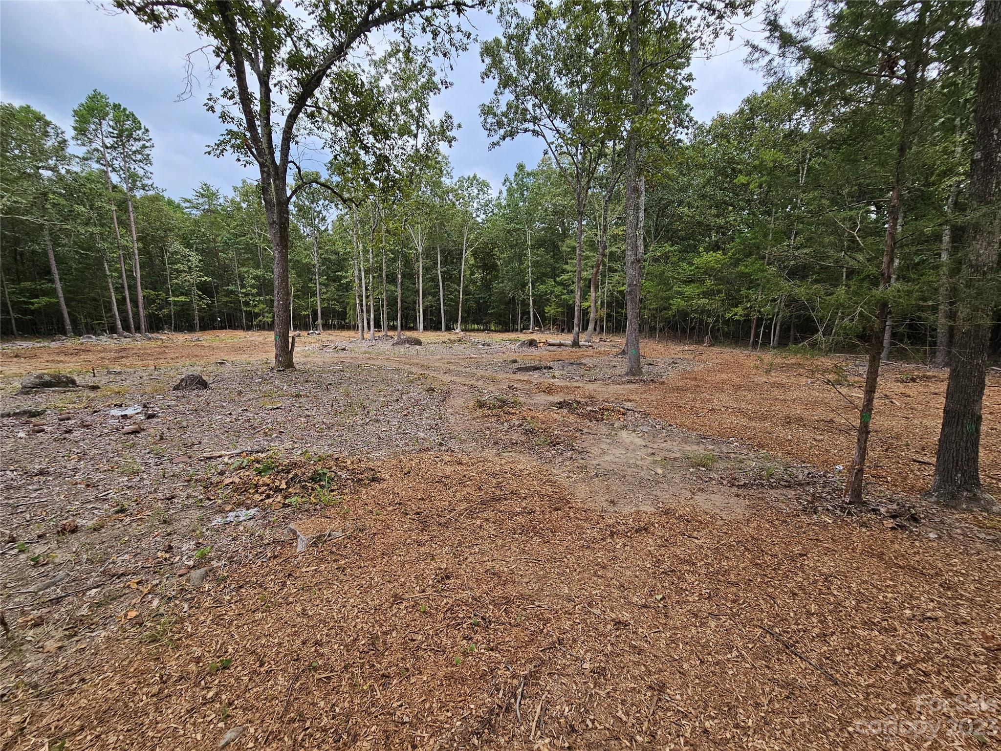 513 Castlewood Circle