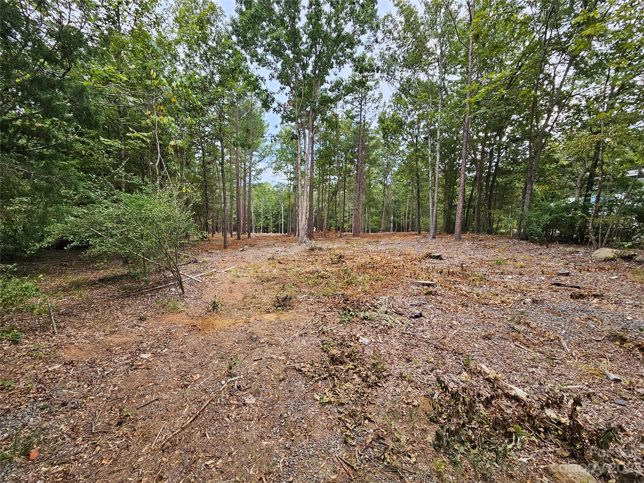 513 Castlewood Circle