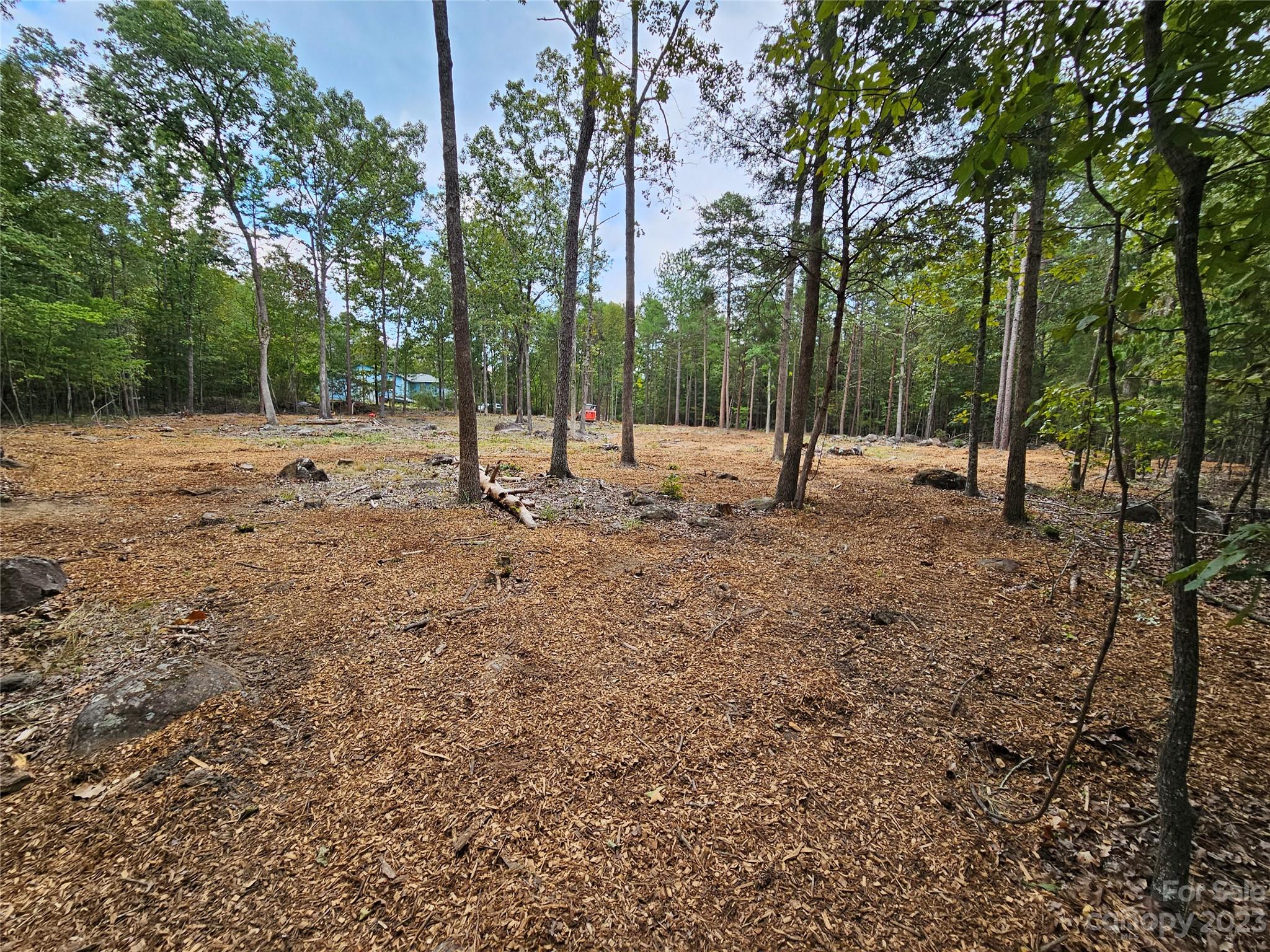 513 Castlewood Circle