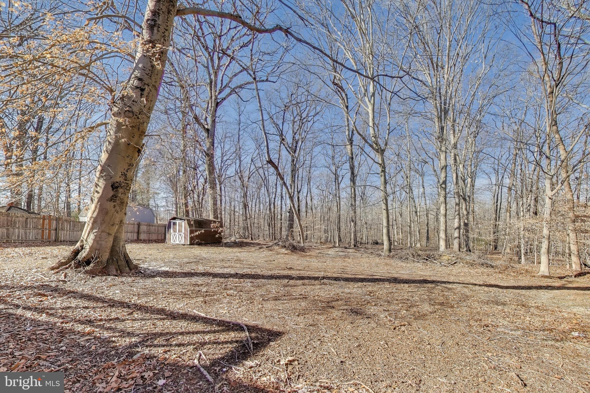 9808 WILLIAMSBURG DRIVE