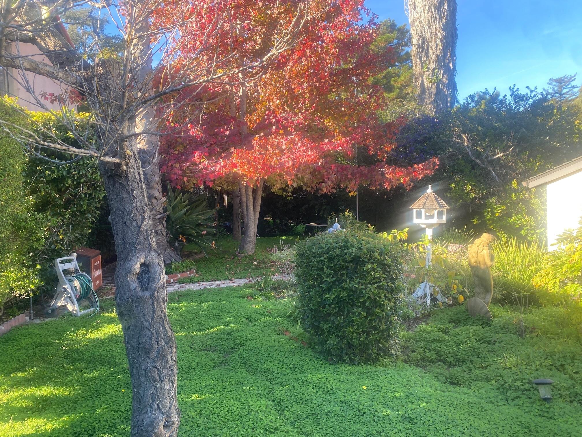 324 Arden Road