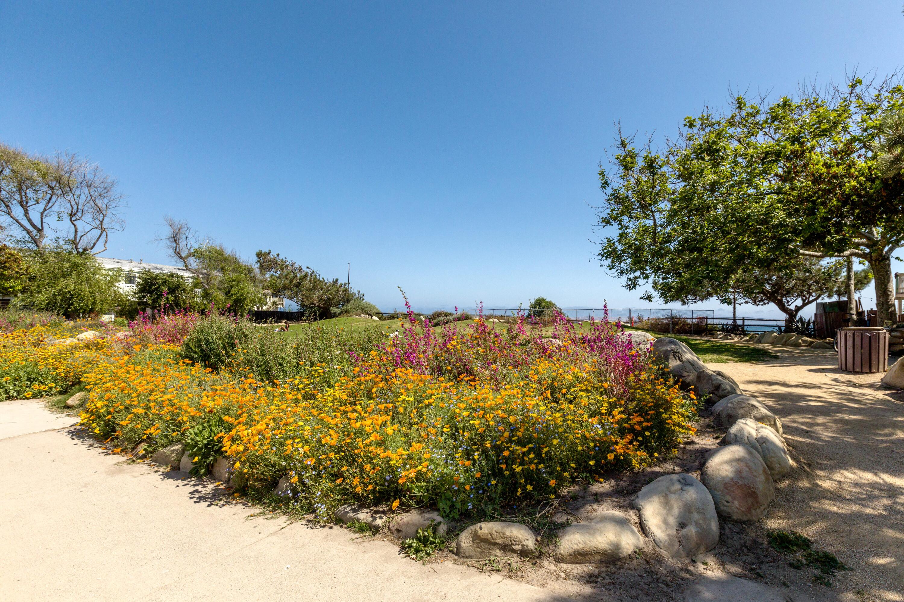6531 Del Playa Drive