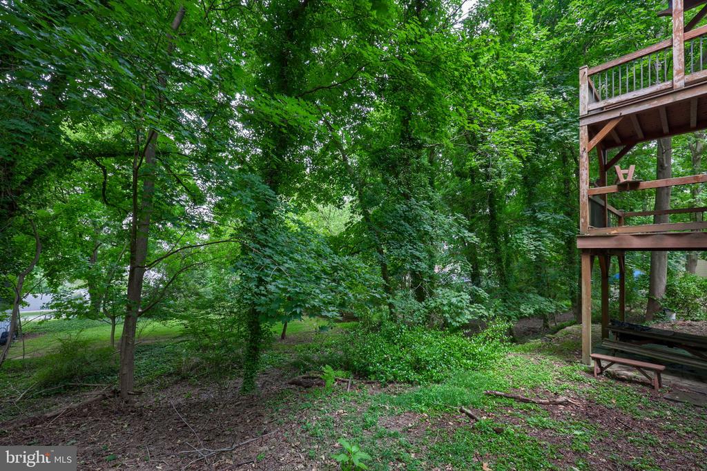 355 ARBOR ROAD