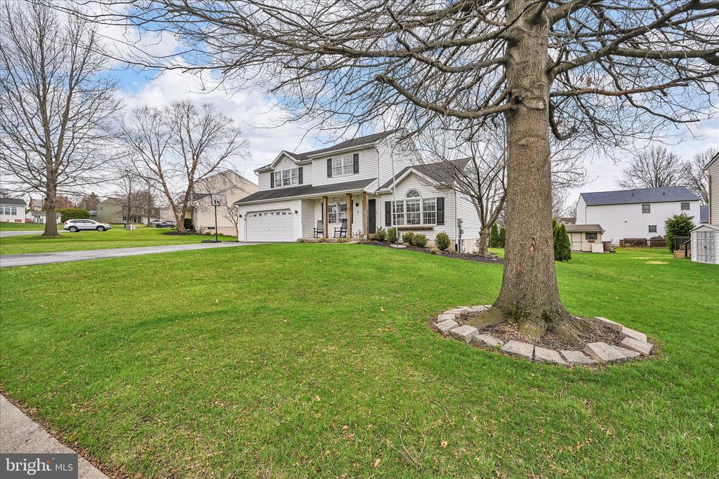 7 N BUTTERFLY DRIVE