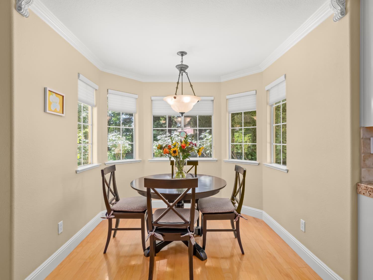 811 E Country View Circle