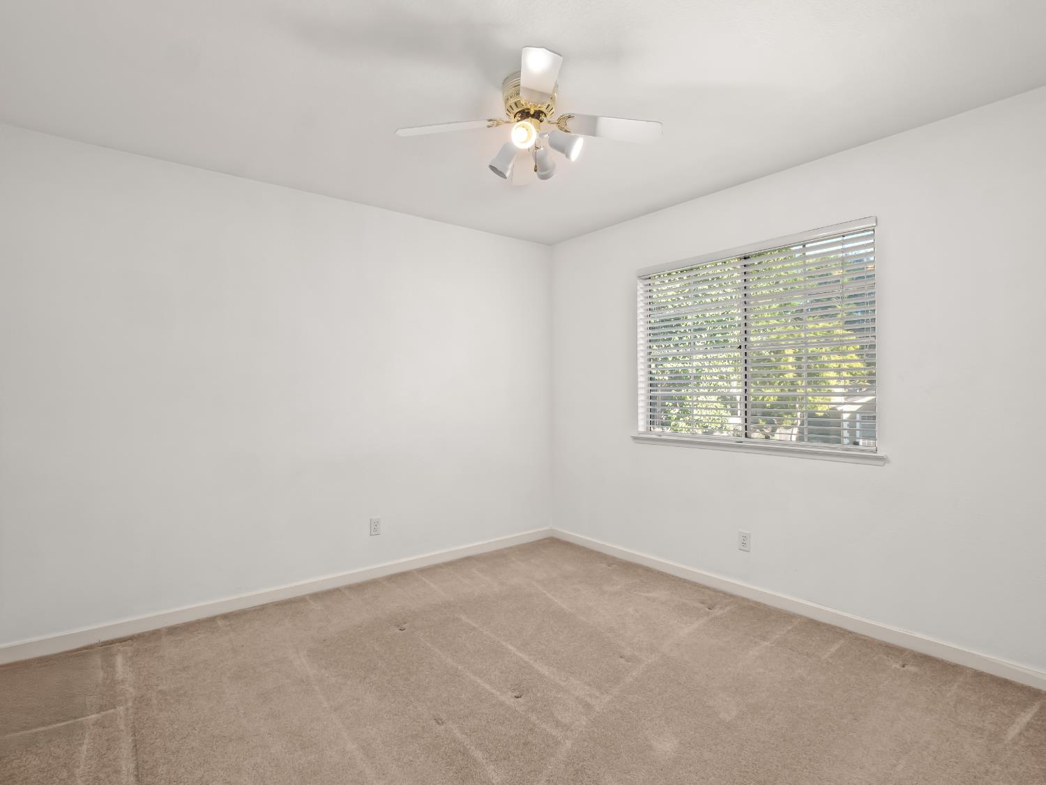 10613 N Sea Shell