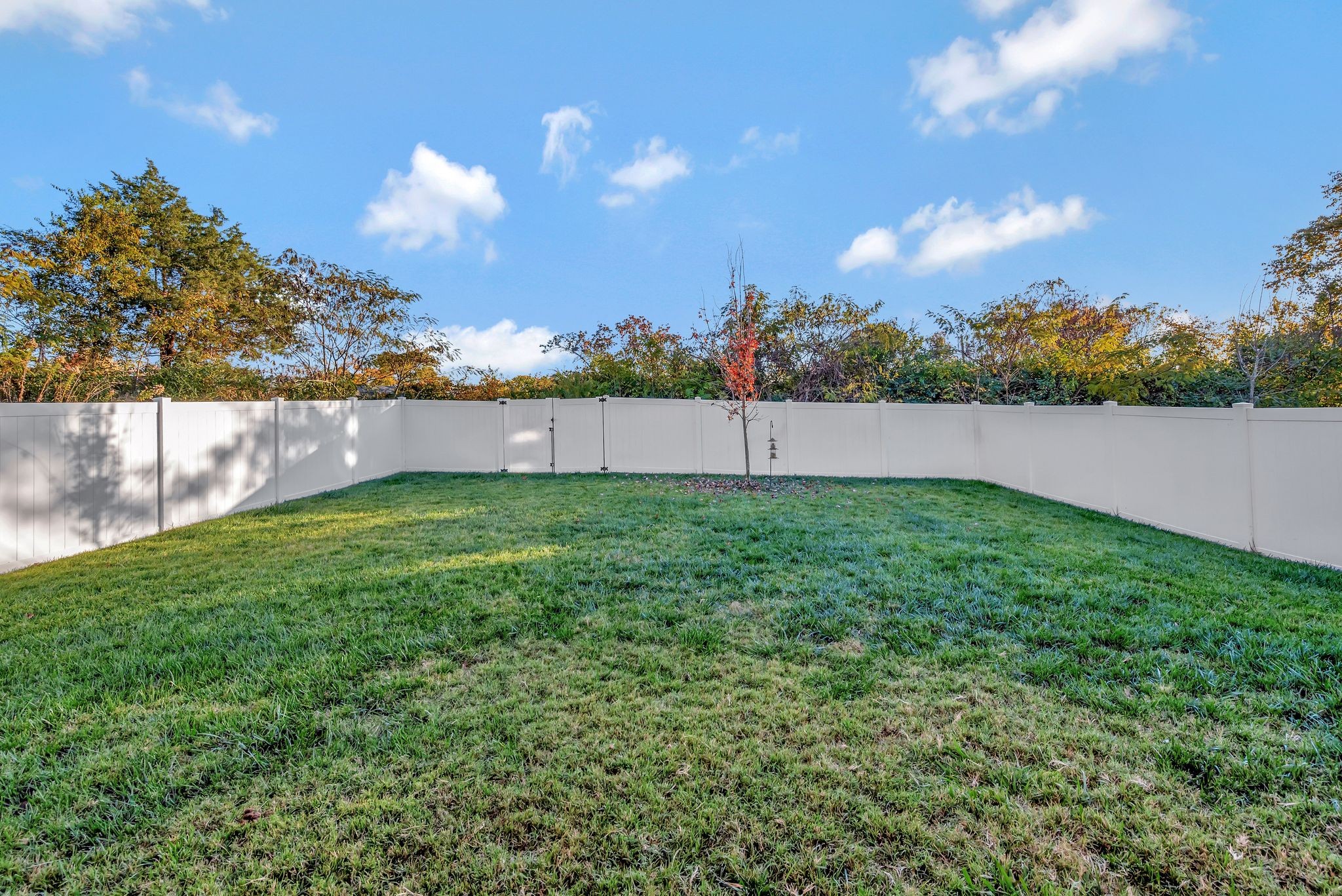 1236 Arroyo Dr