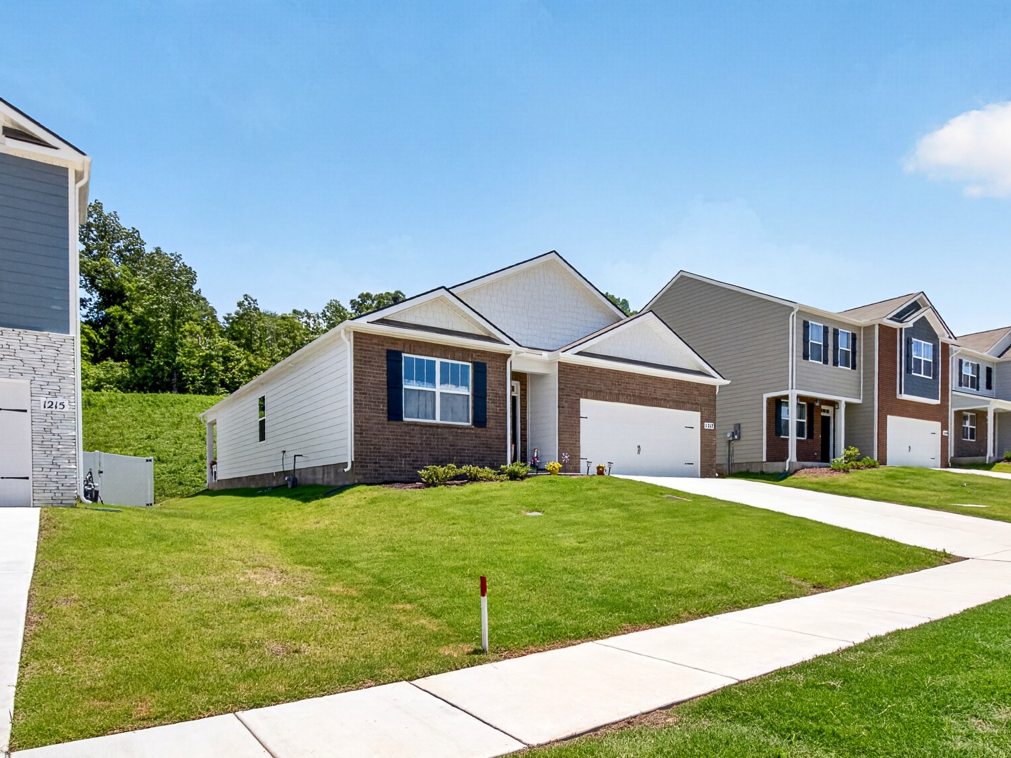 1217 Bufflehead Way