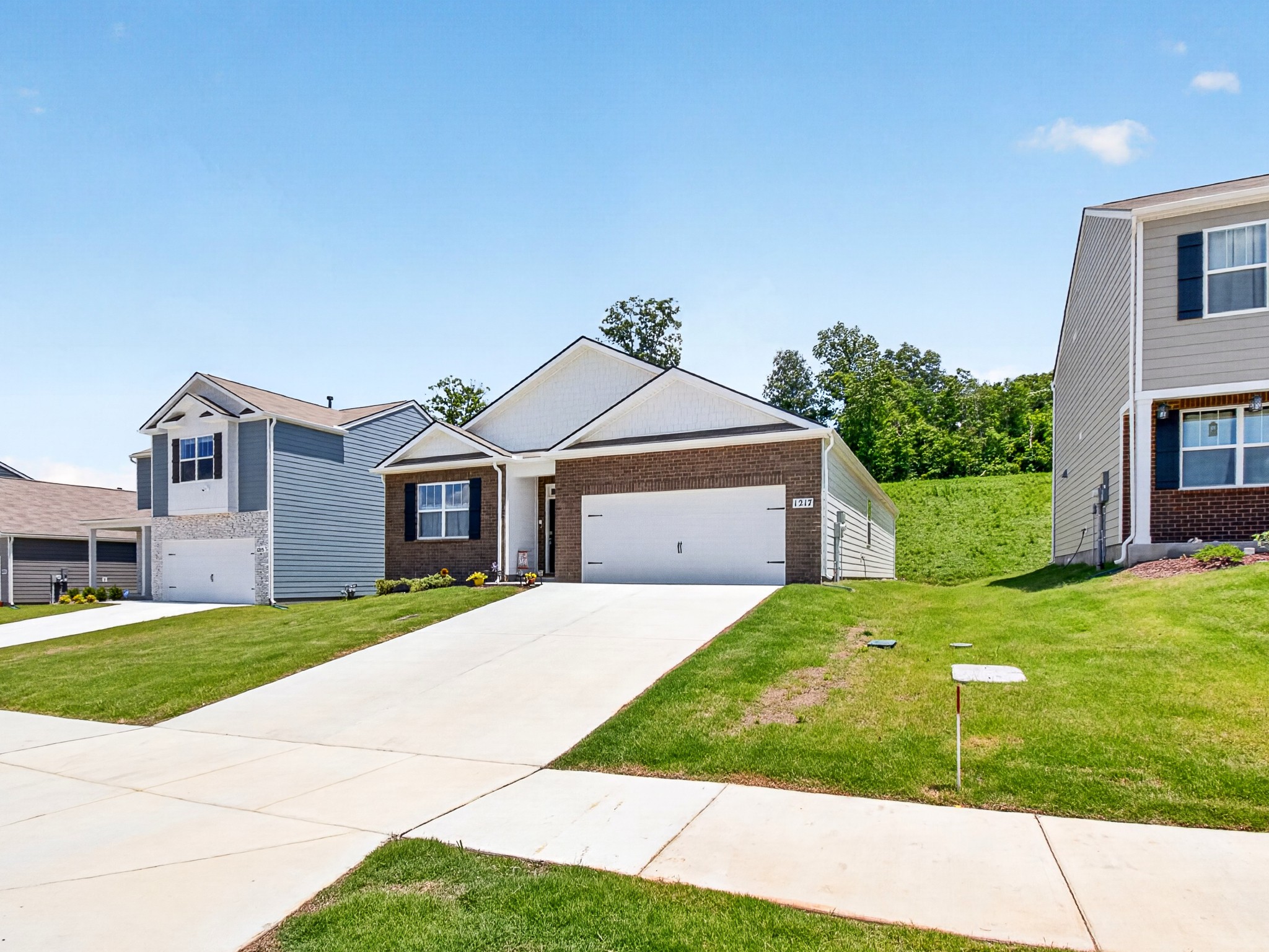1217 Bufflehead Way