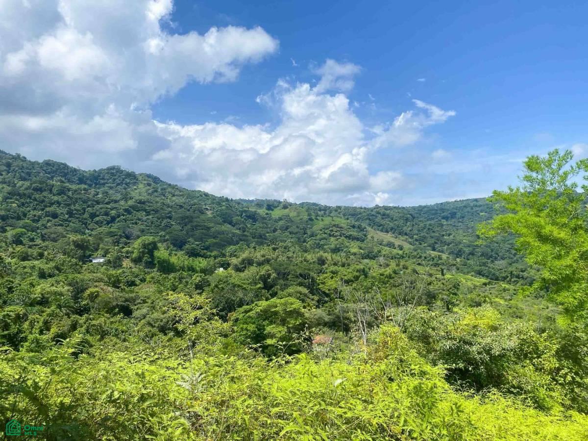Ocean and Mountain View San Salvador , Barú, Perez Zeledon, San Jose