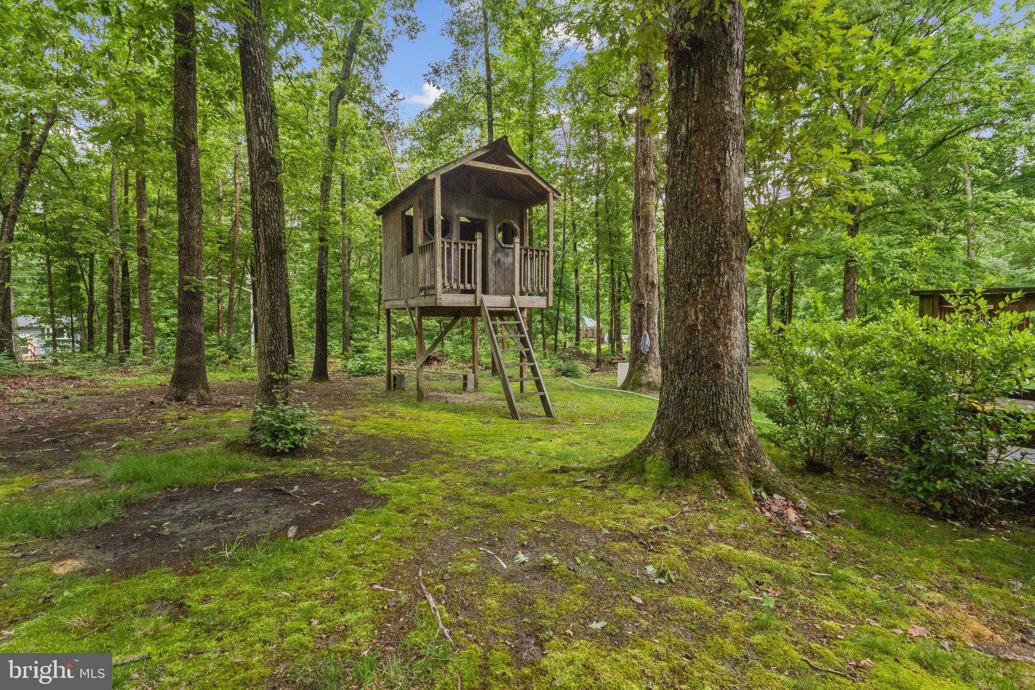10 Colyer Rd