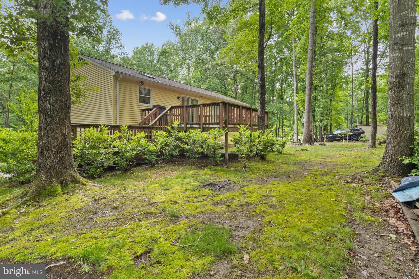 10 Colyer Rd