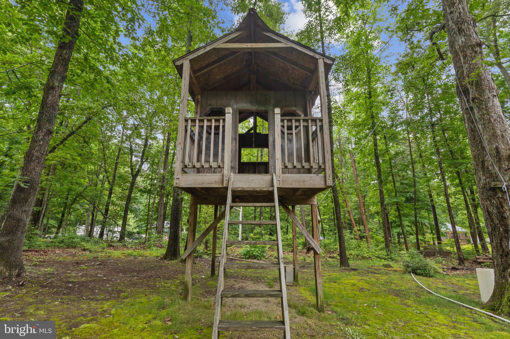 10 Colyer Rd