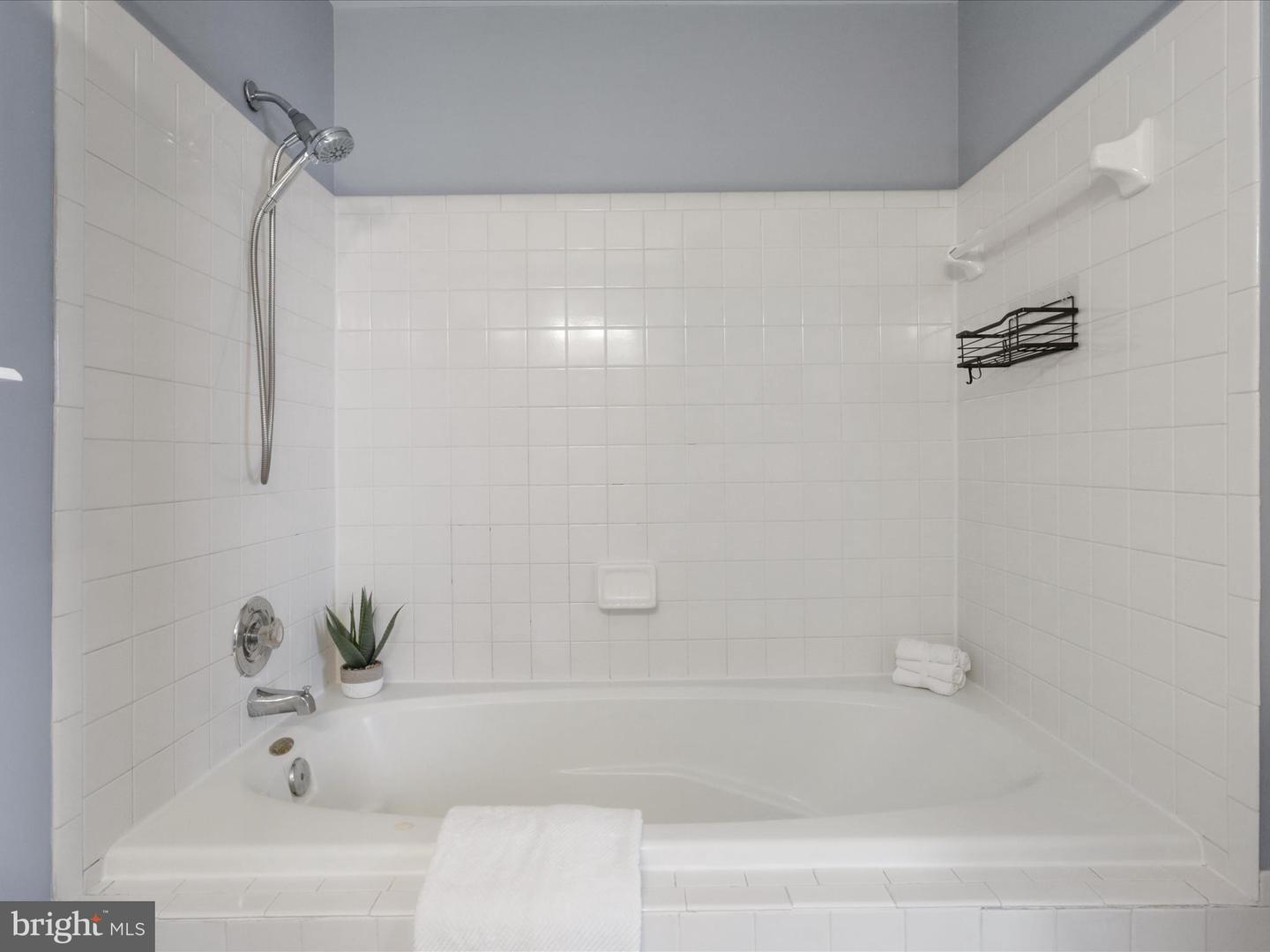 303 Mayfair #187