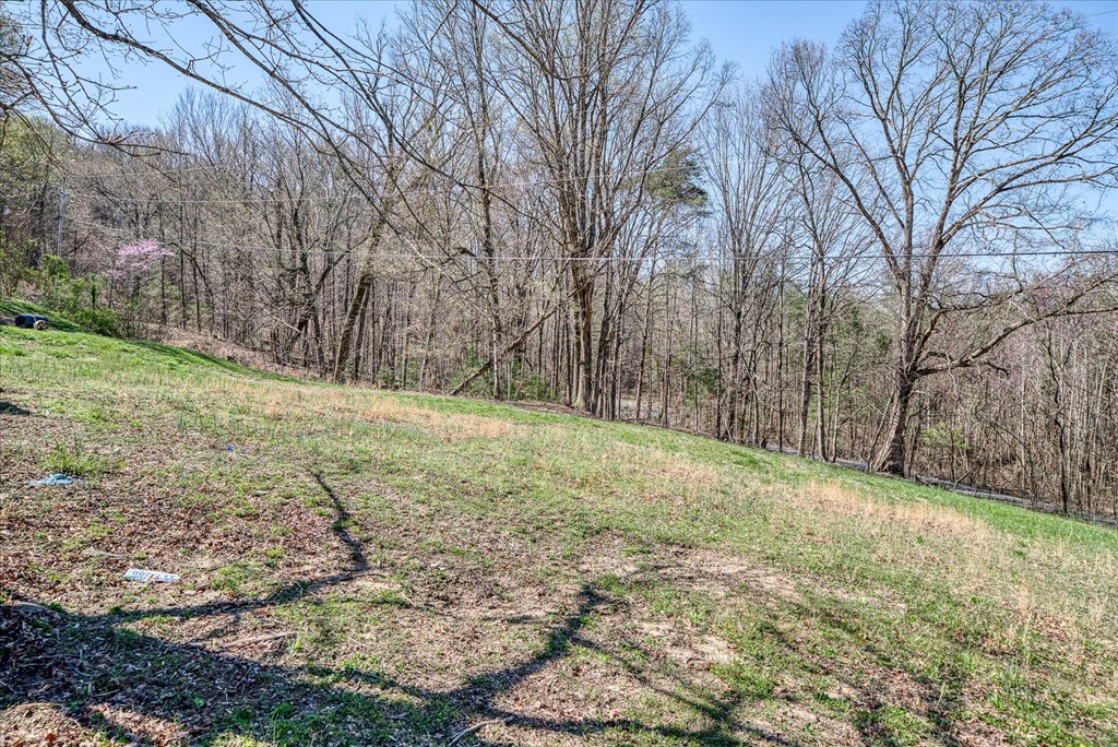 618 Old Baker Mt Rd