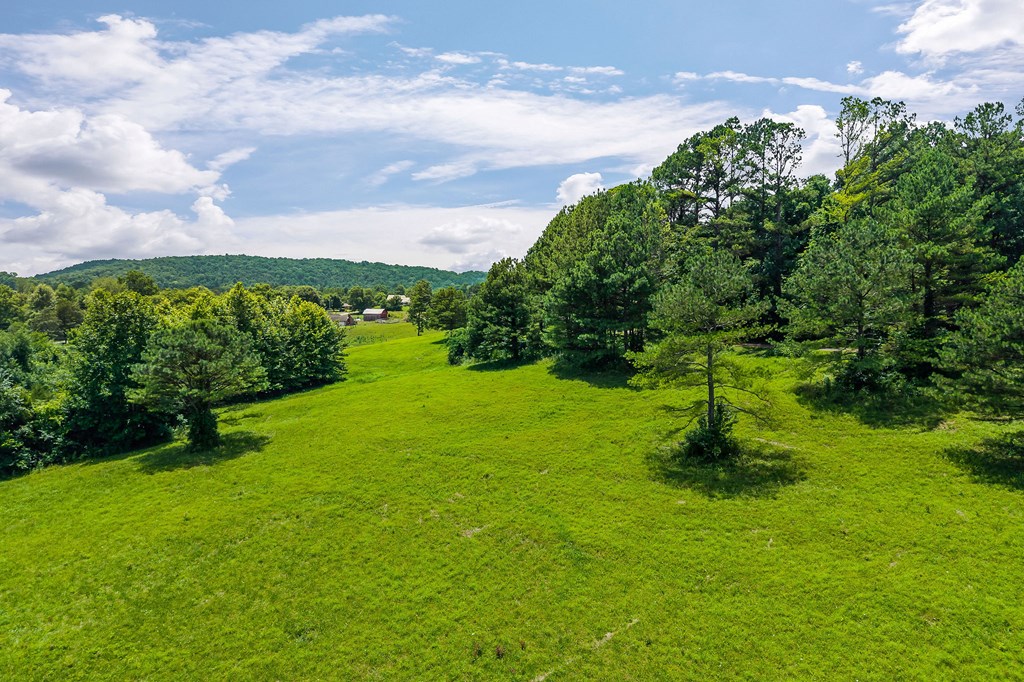 00 Clay Holman Rd