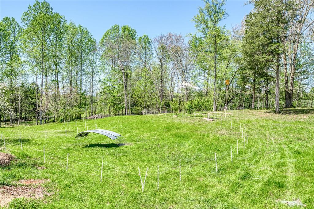 1563 Boyd Creek Rd