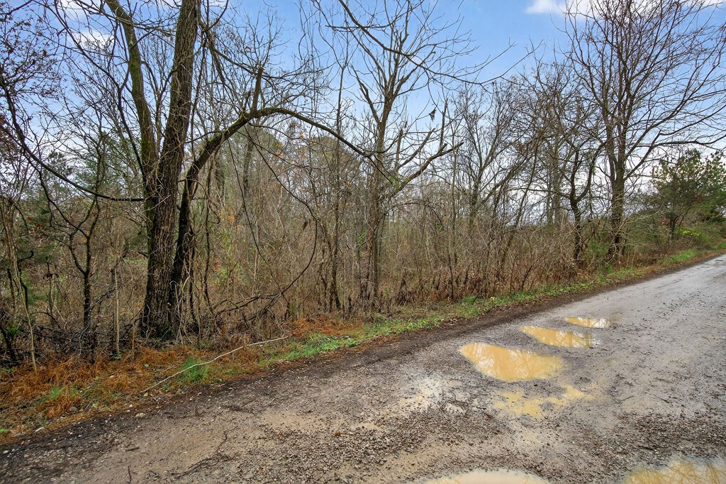 0 N Center Point Acres