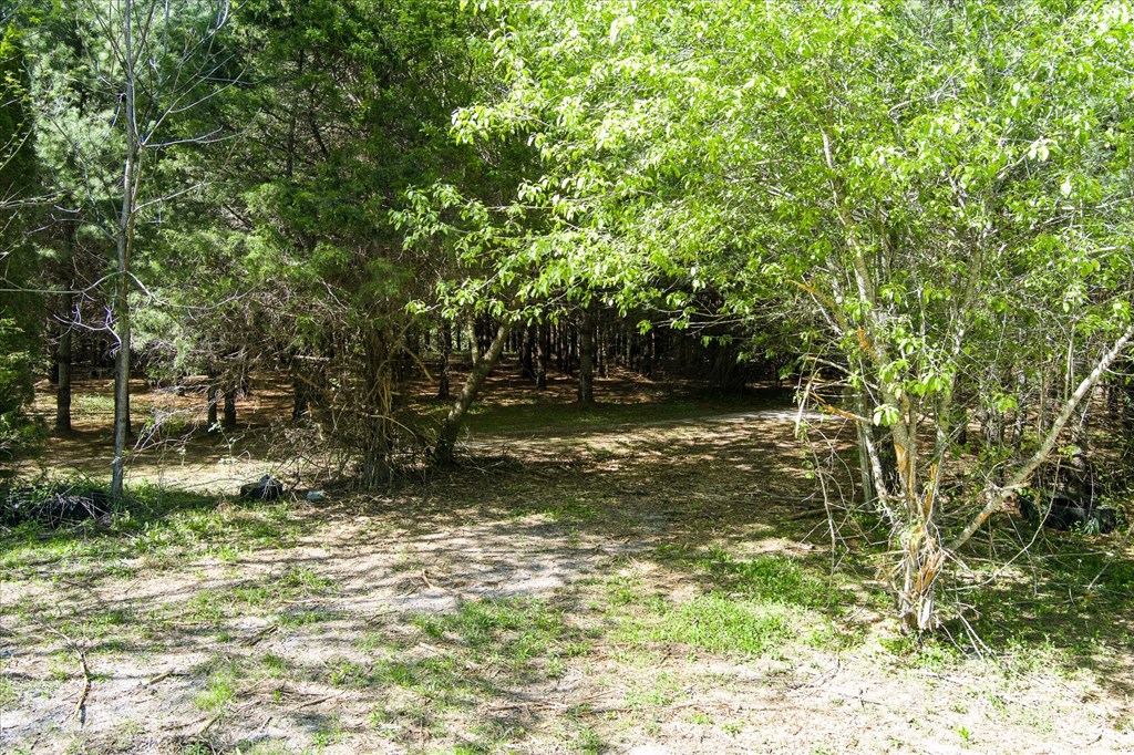 181 Uncle Happy Lane