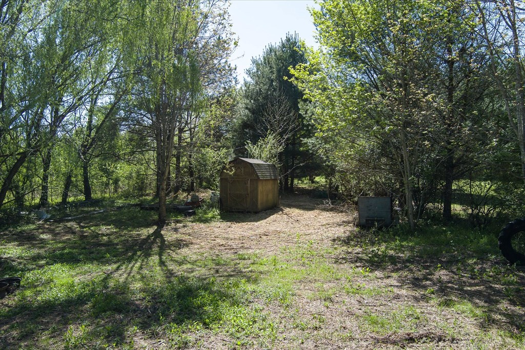 181 Uncle Happy Lane