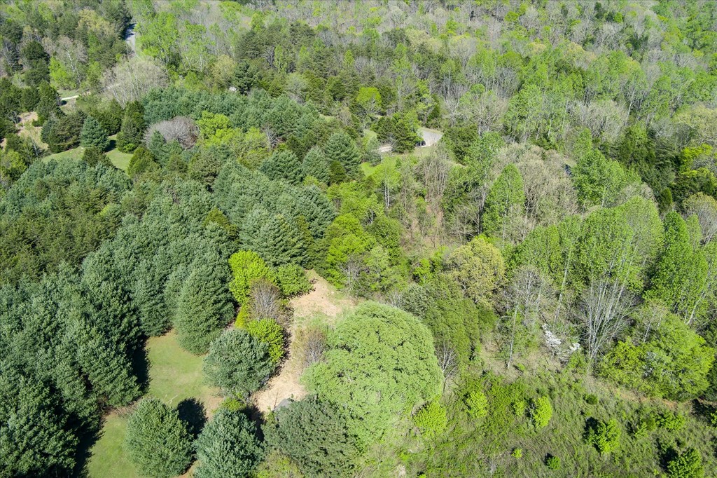 181 Uncle Happy Lane