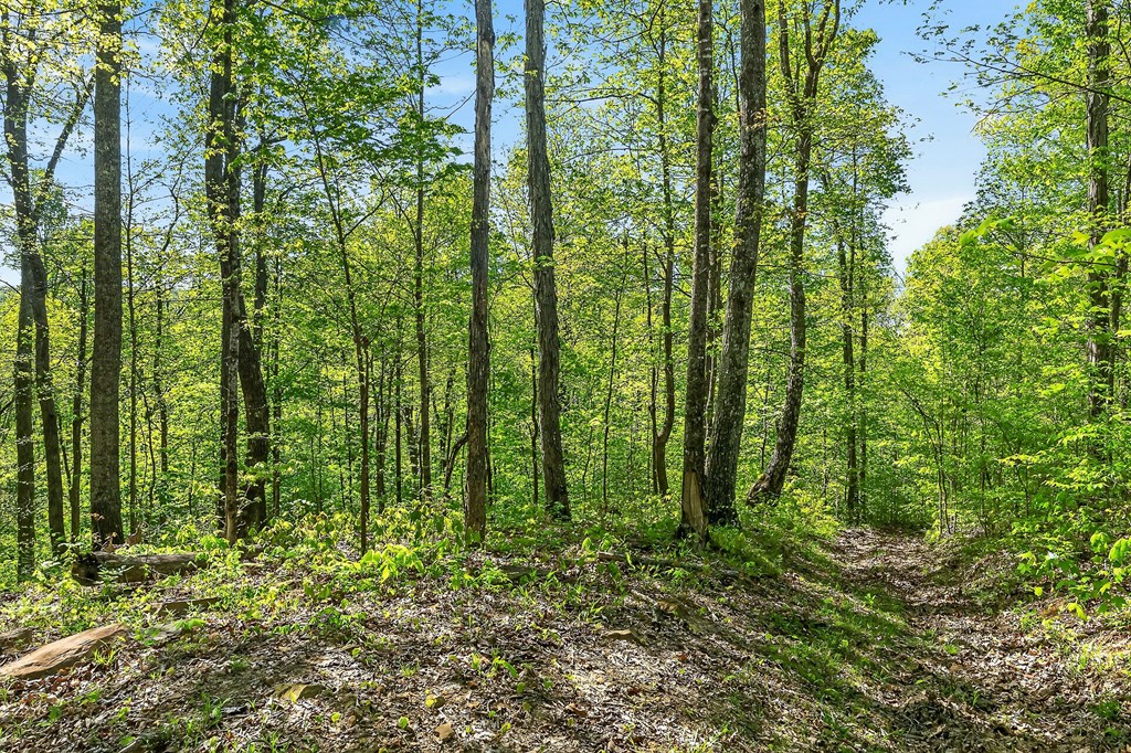 107.7 ac Board Valley Rd