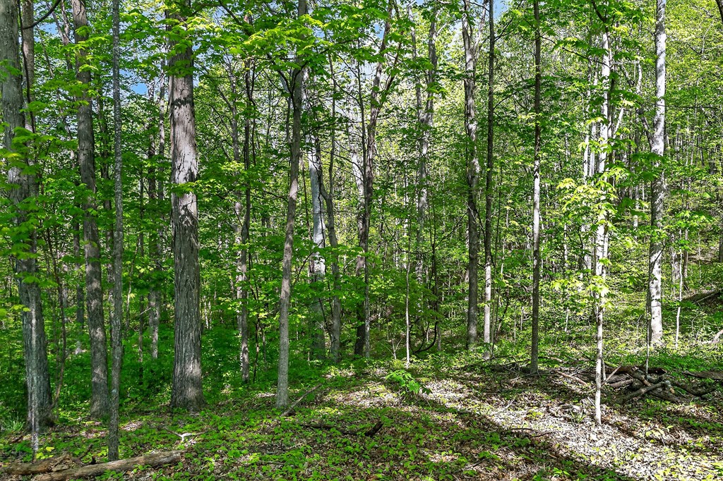 107.7 ac Board Valley Rd