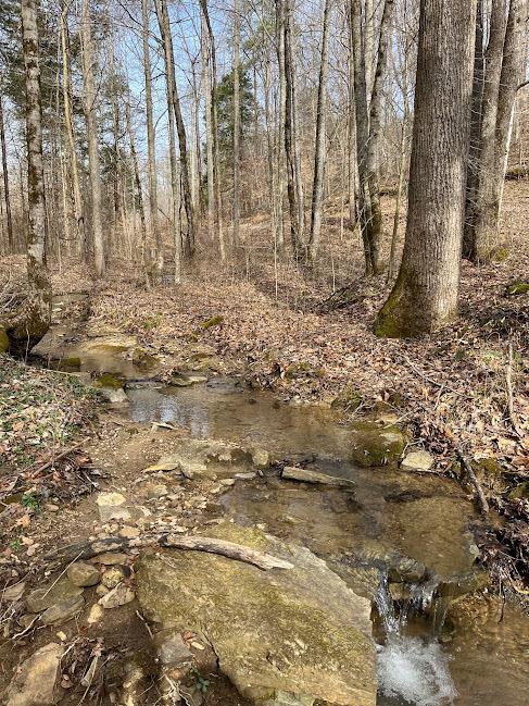 107.7 ac Board Valley Rd