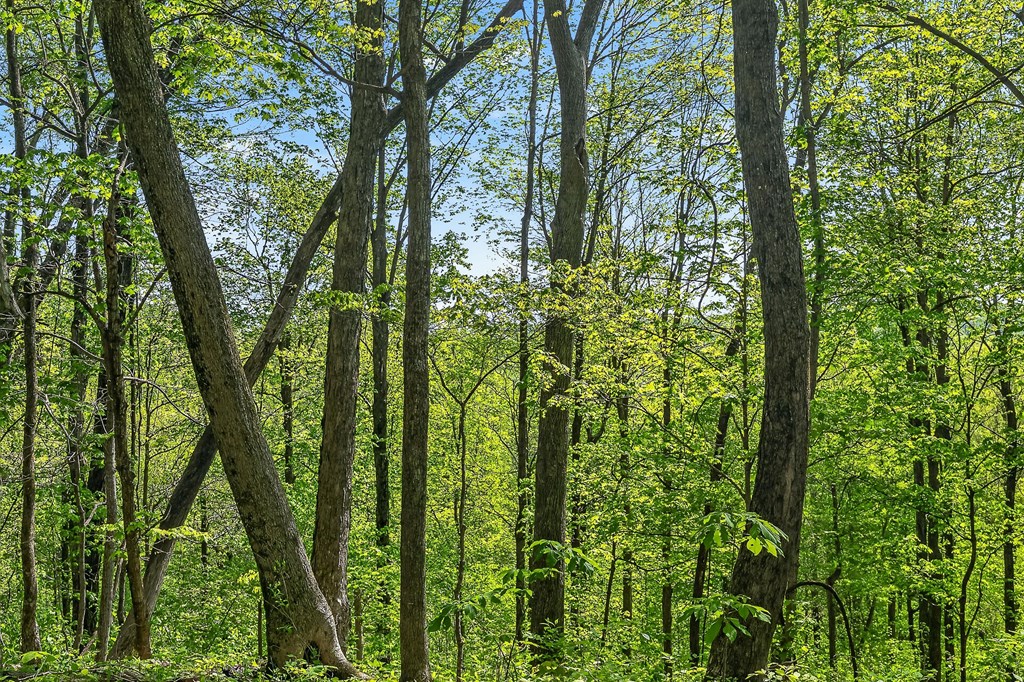 107.7 ac Board Valley Rd