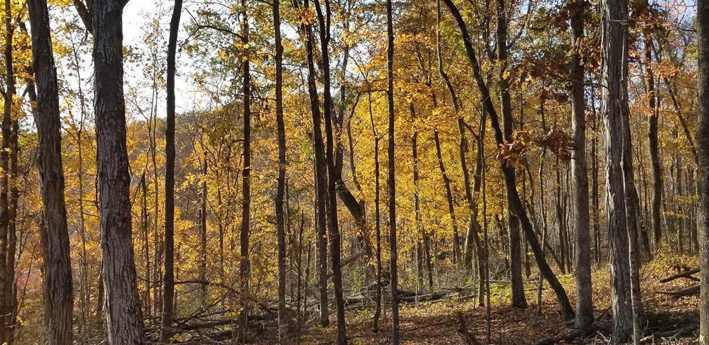 107.7 ac Board Valley Rd