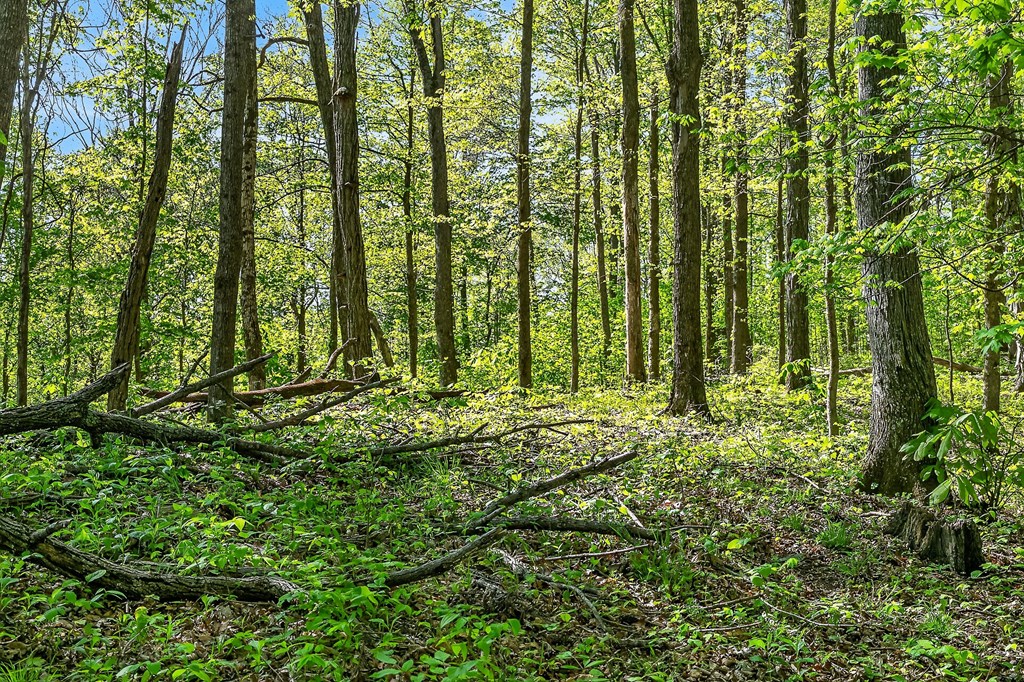 107.7 ac Board Valley Rd